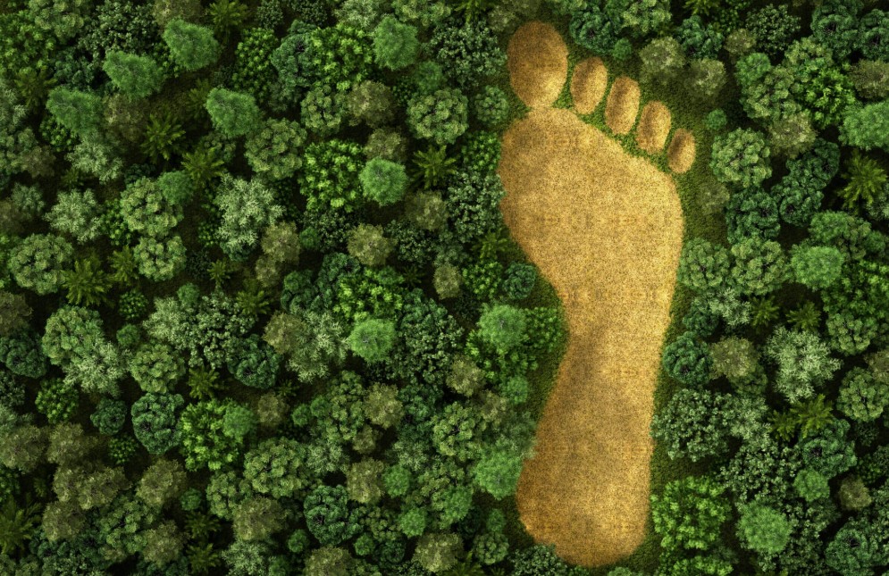 karbon ayak izi nasil azaltilir