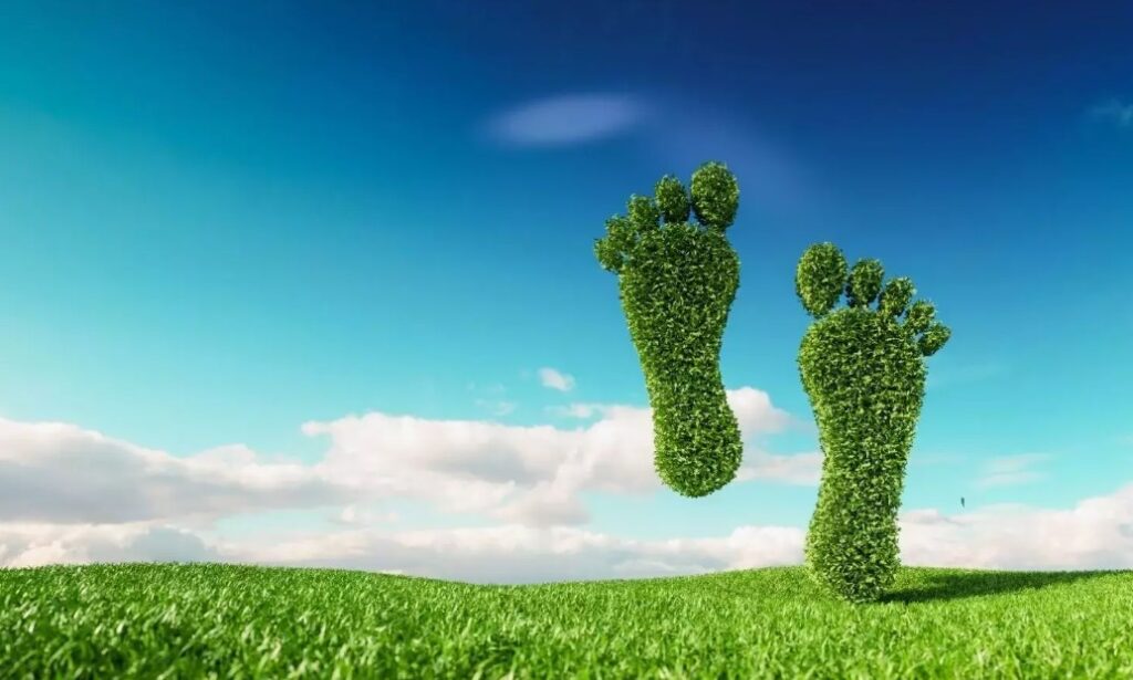 kisisel karbon ayakizi azaltma